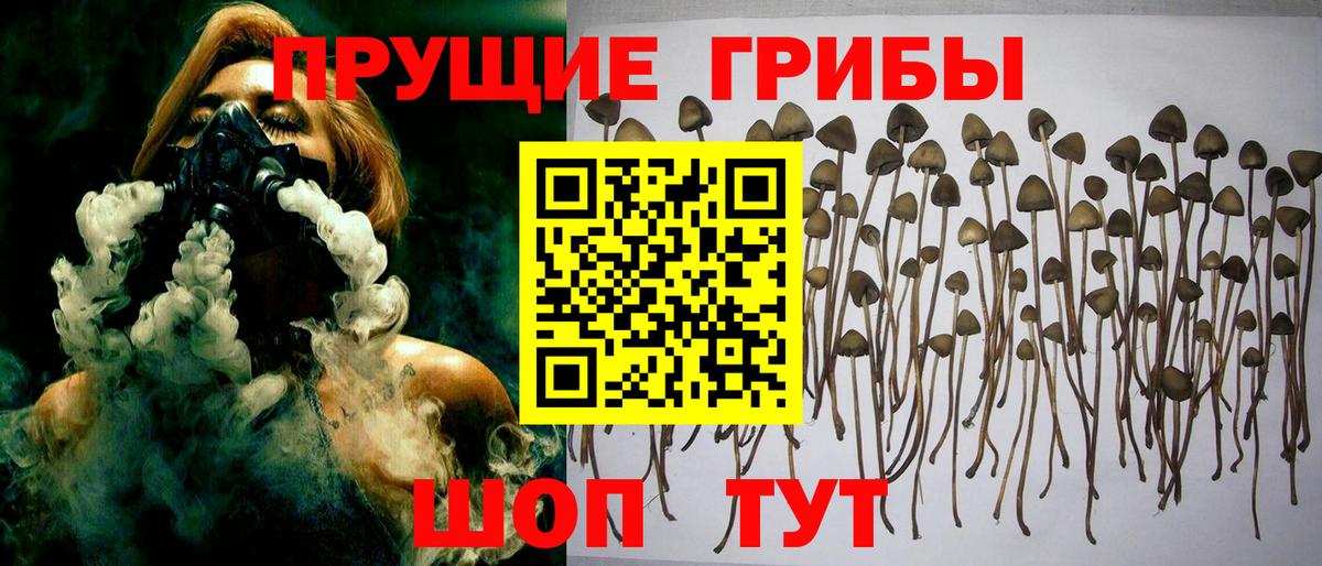 Торжок  Галлюциногенные грибы GOLDEN TEACHER  Вход с VPN 