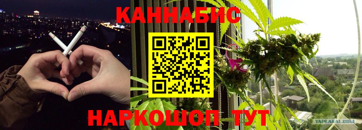 Бошки Шишки индика Торжок